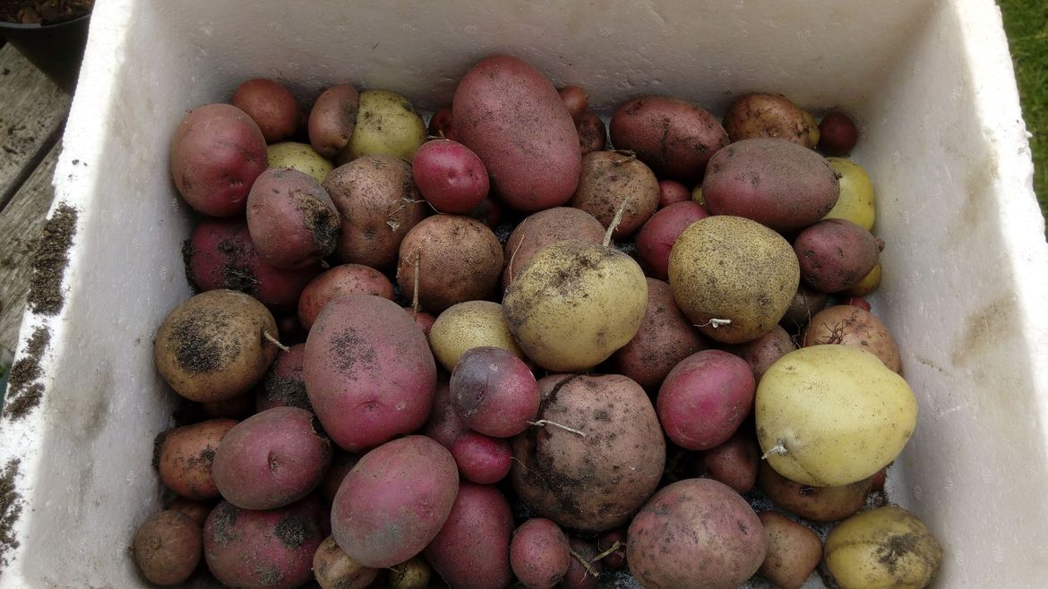 Nice lot for the two of us