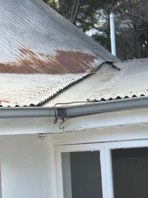 IMG_0960 Medium.jpeg