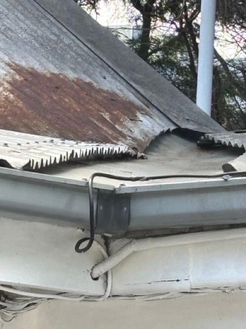 IMG_0961 Medium.jpeg