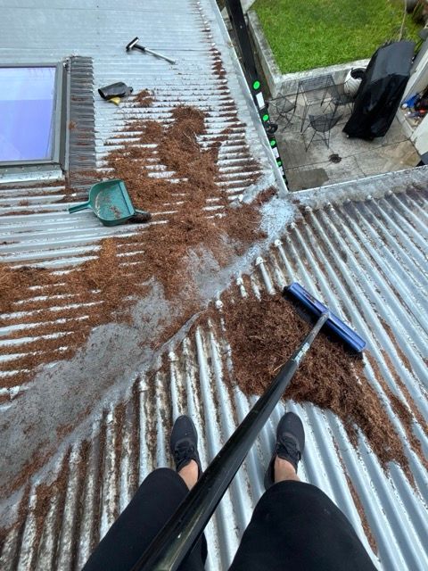 IMG_6423 Medium.jpeg