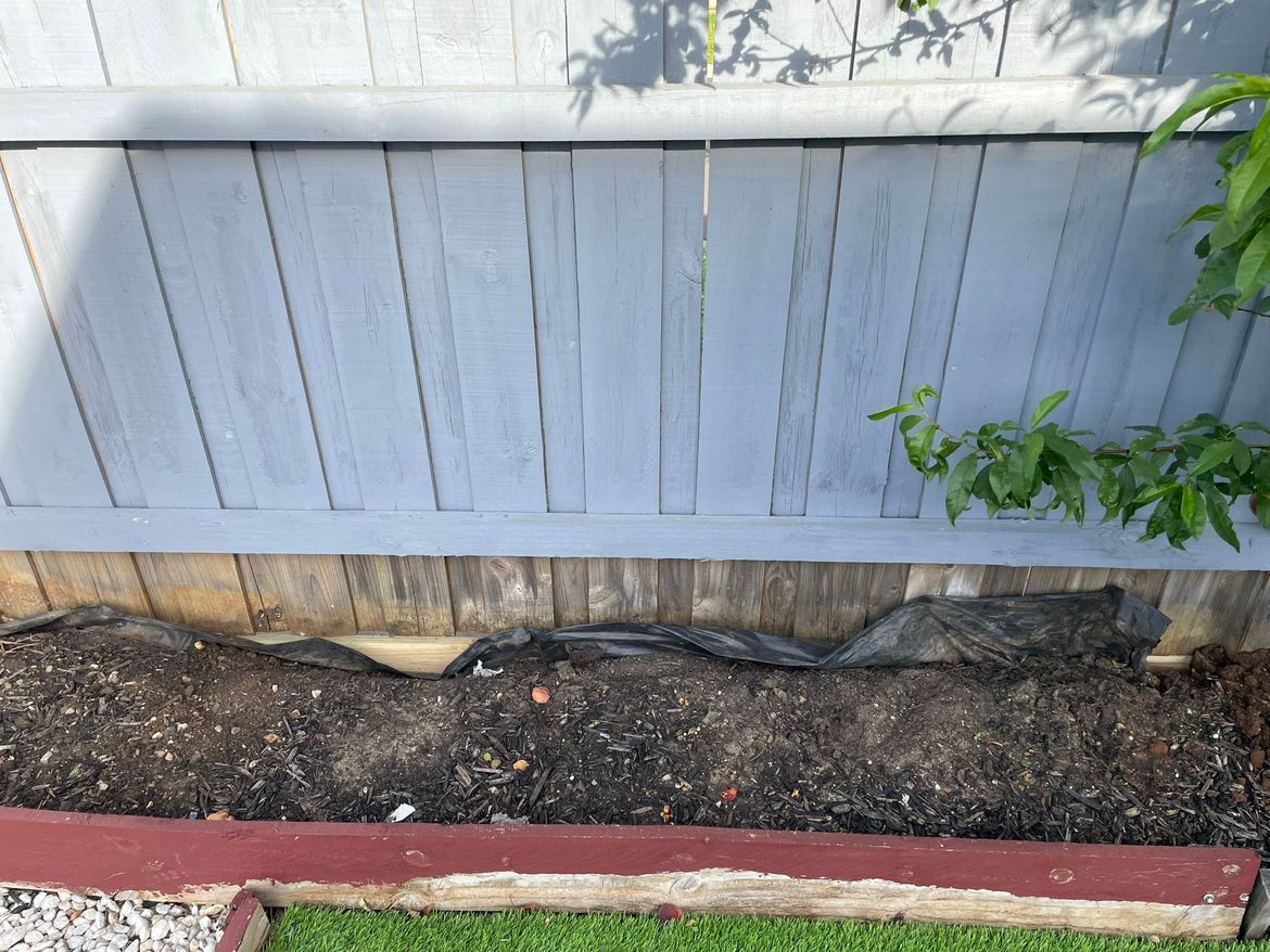 WhatsApp Image 2025-12-17 at 6.34.17 PM.jpeg