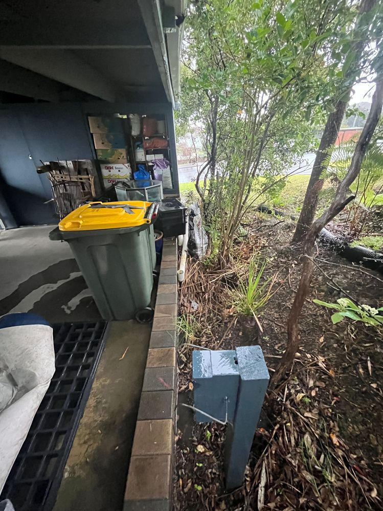 back side prior to dig