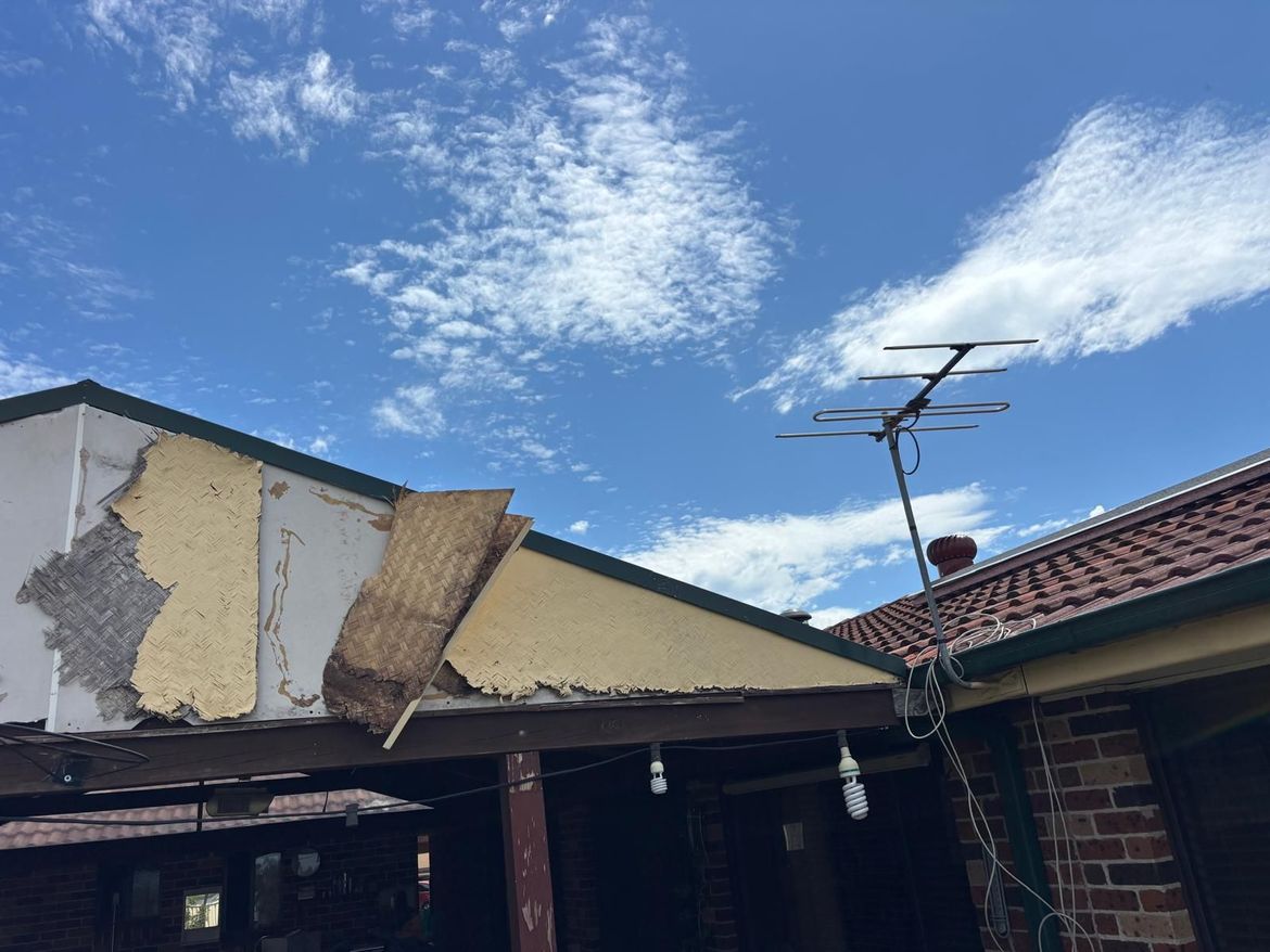 WhatsApp Image 2025-12-20 at 9.21.08 PM (4).jpeg