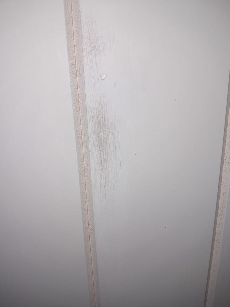 WhatsApp Image 2025-12-26 at 1.23.09 PM.jpeg