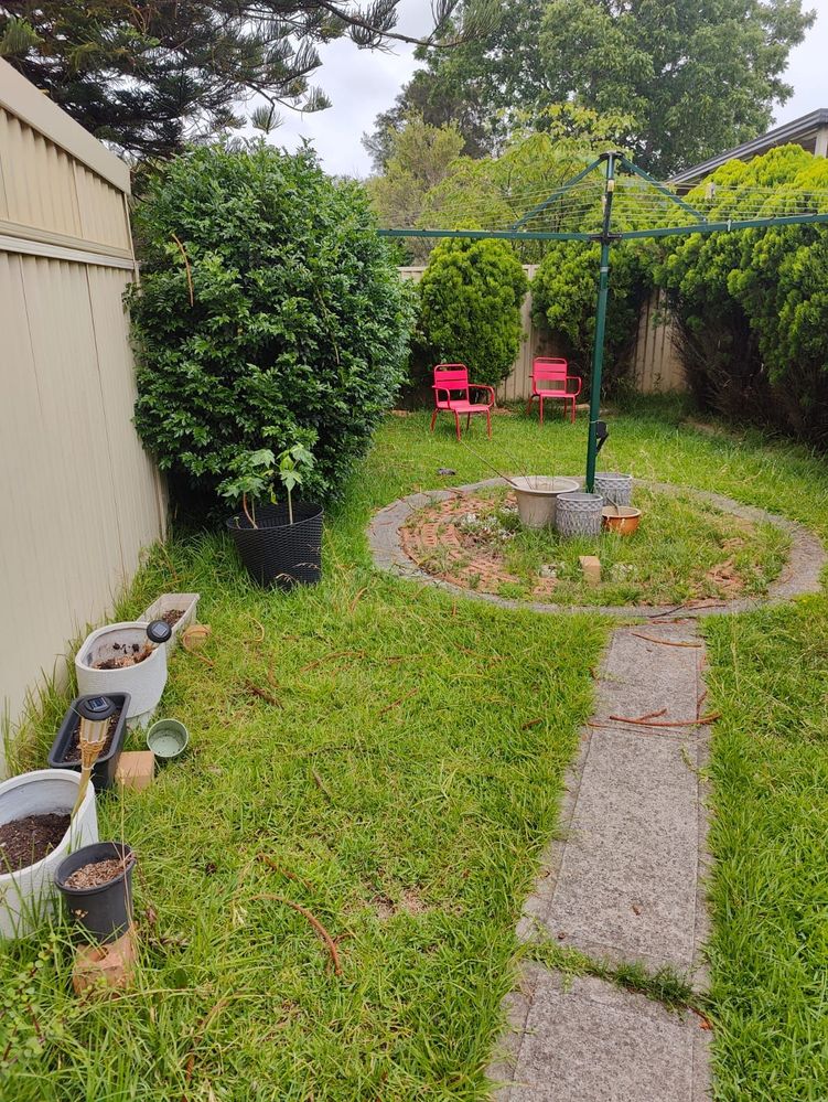 yard1.jpeg
