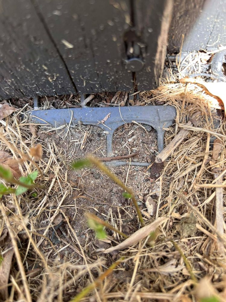 605847785_1194667868876203_4600096422178663222_n (1).jpg