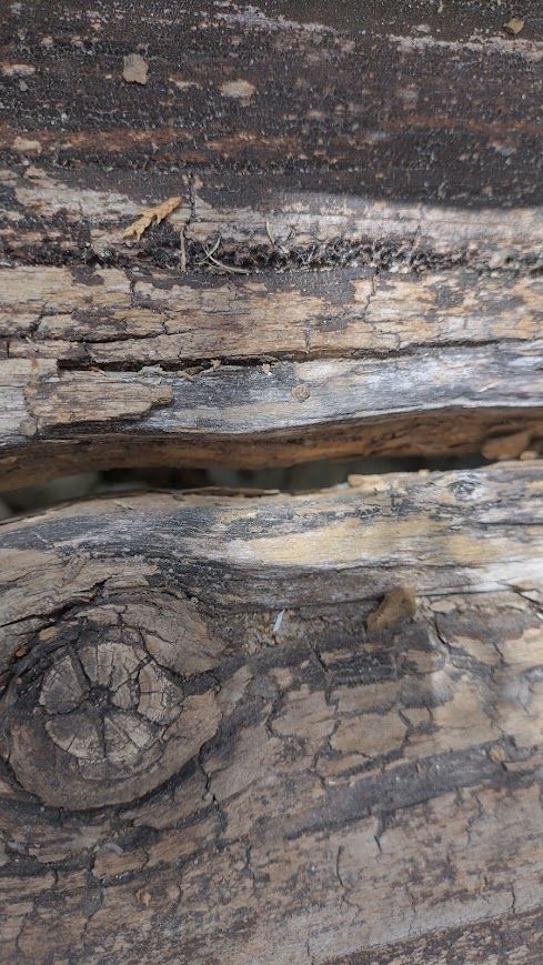 cracks all the way through the step