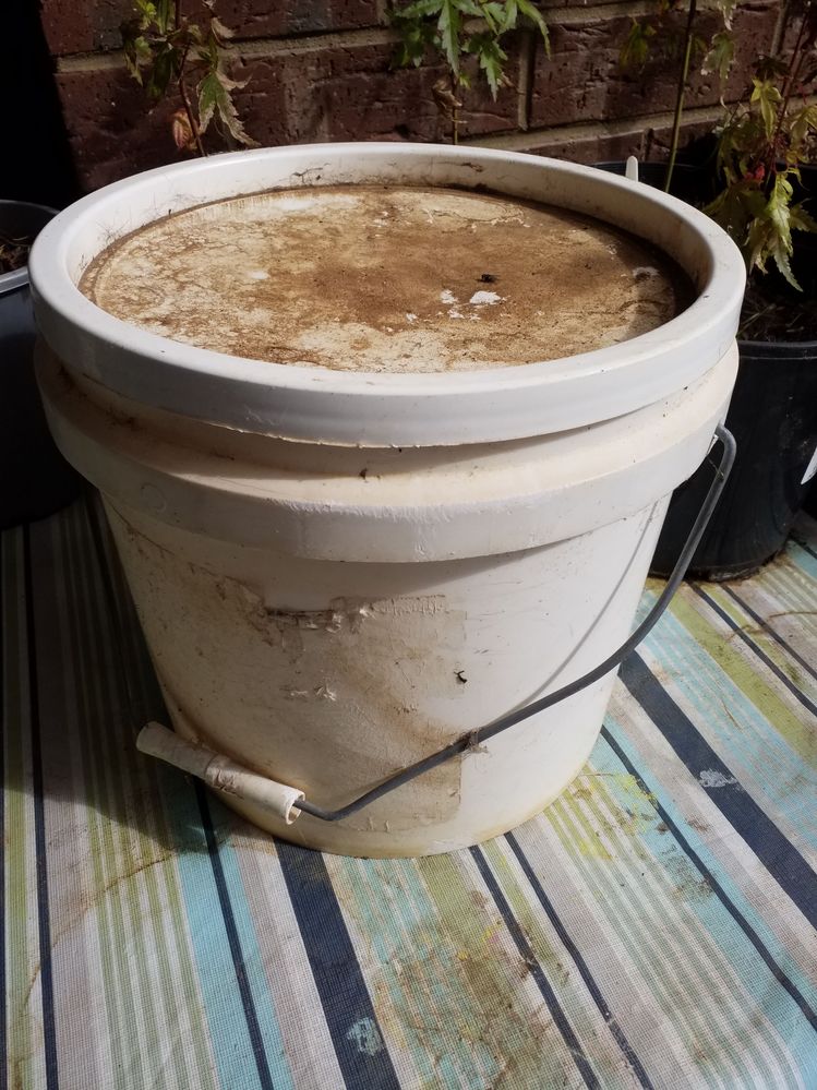 Food grade bucket and lid.