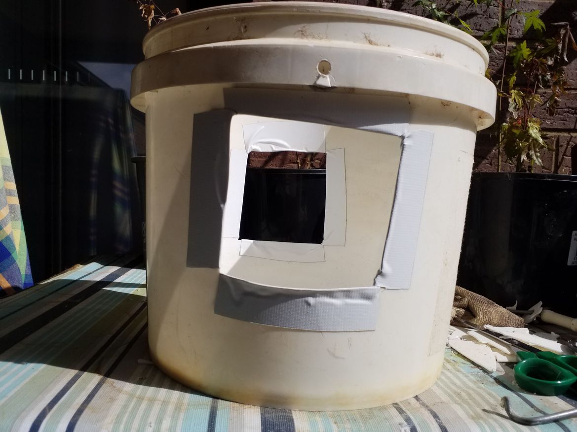 Cut windows on opposite sides and tape edges.