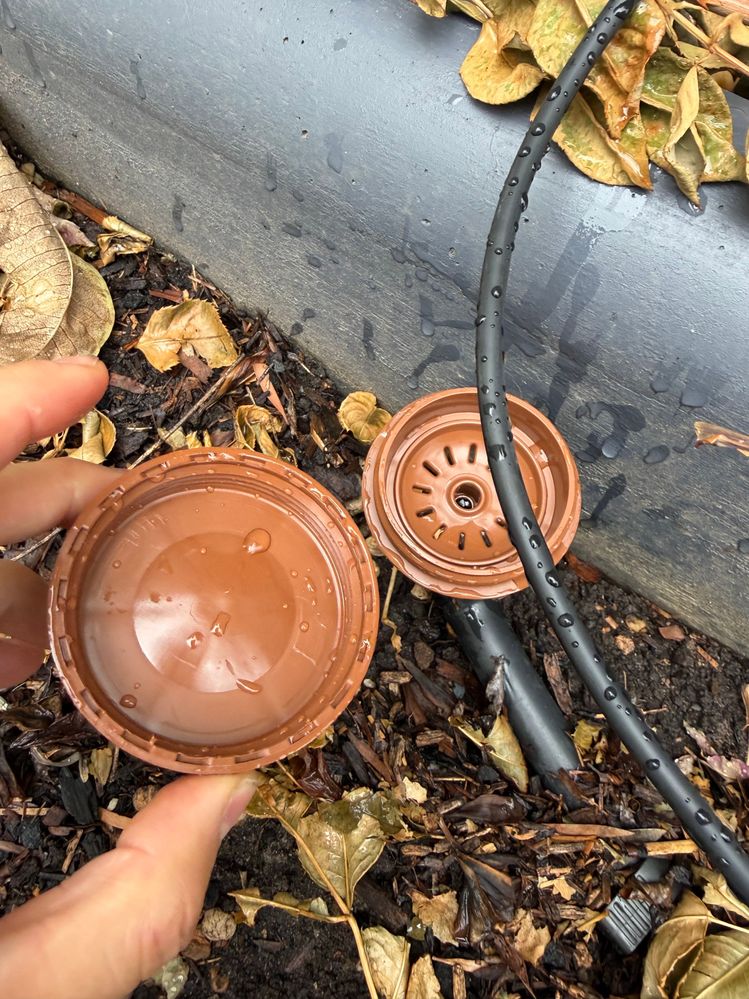 flushing valve cap removed