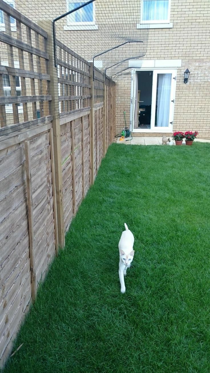 how do i keep my dog from climbing the fence