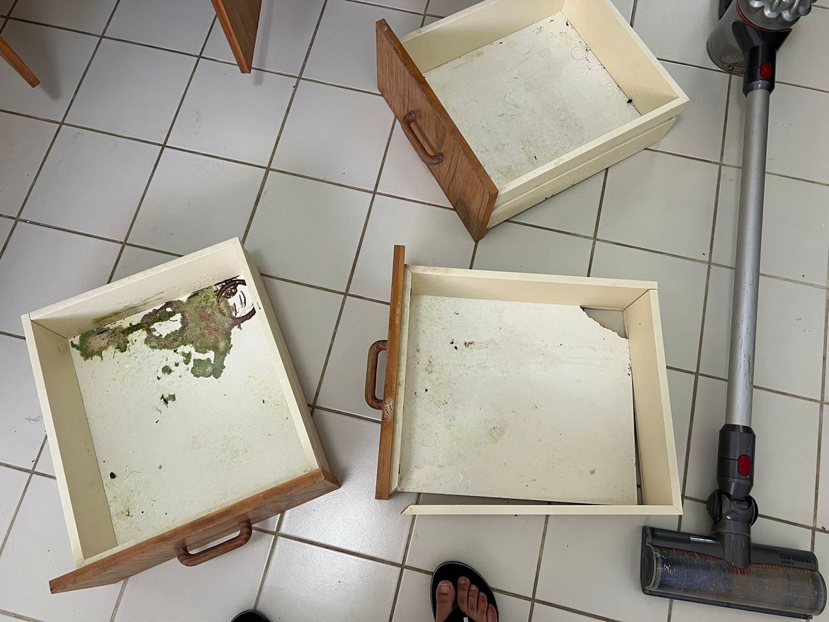 WhatsApp Image 2026-01-07 at 7.38.23 PM.jpeg