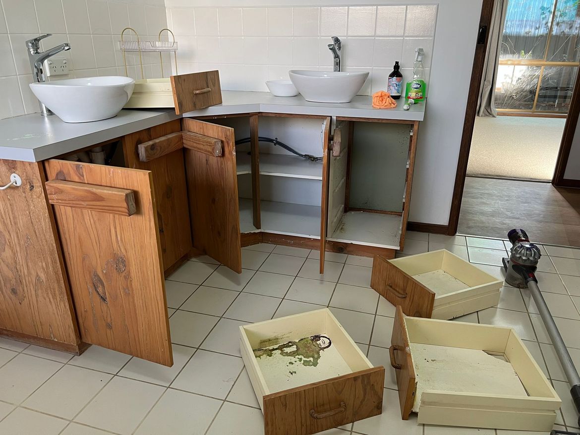 WhatsApp Image 2026-01-07 at 7.38.22 PM.jpeg