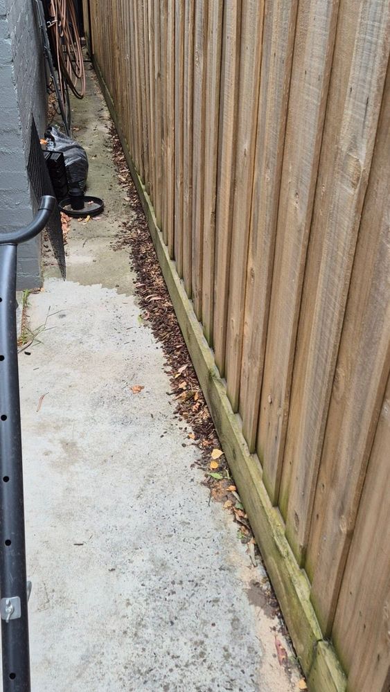 20260111_105513 Large.jpeg