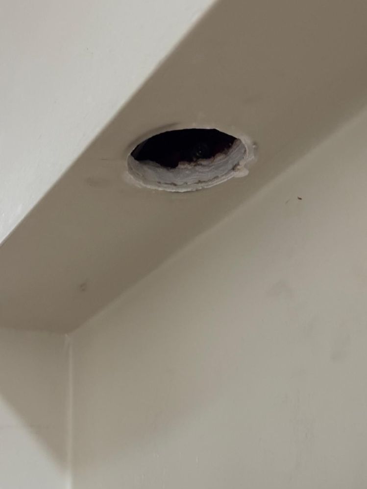 WhatsApp Image 2026-01-12 at 9.17.00 PM.jpeg