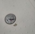 shower base edit.jpg