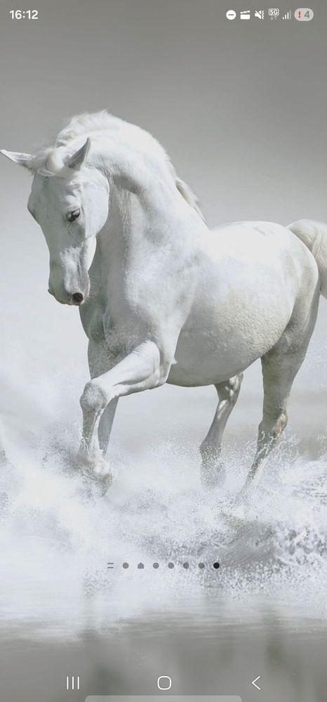 Screenshot_20260116_161252_One UI Home.jpg