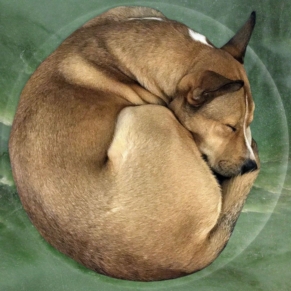 IMG_4251 - deep etch.jpg