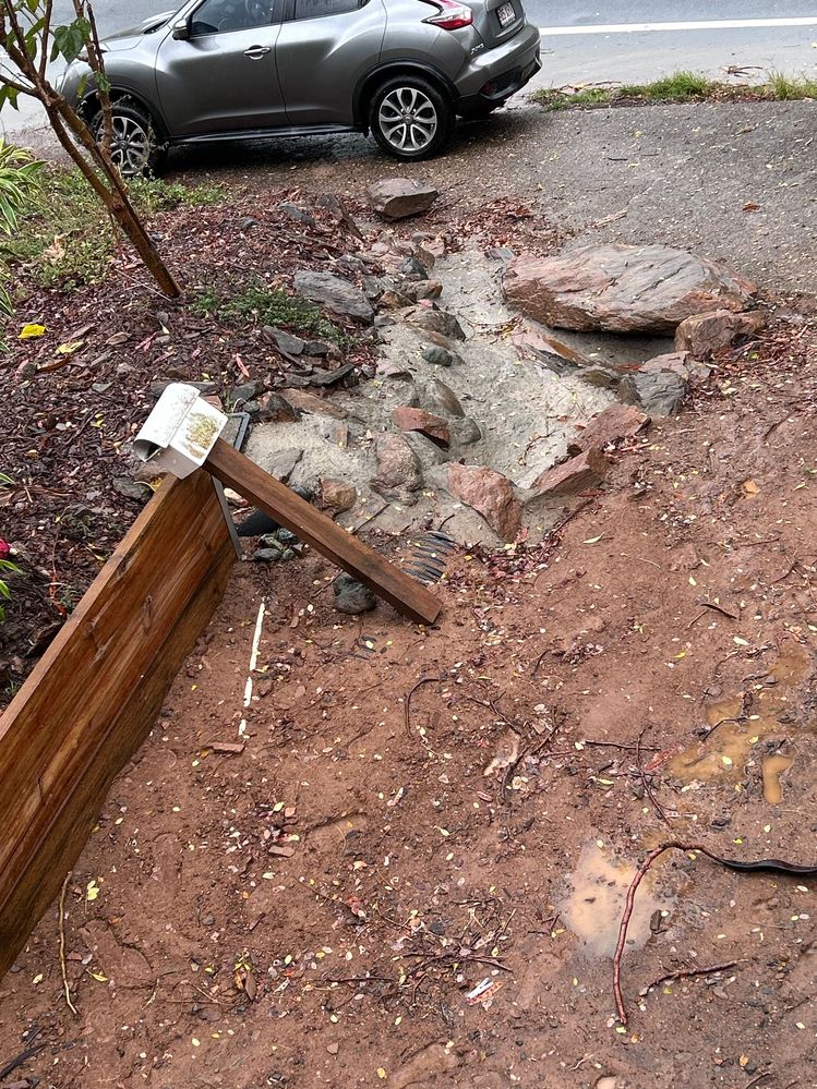 After another close shave with a delivery truck! She was in need of some love.