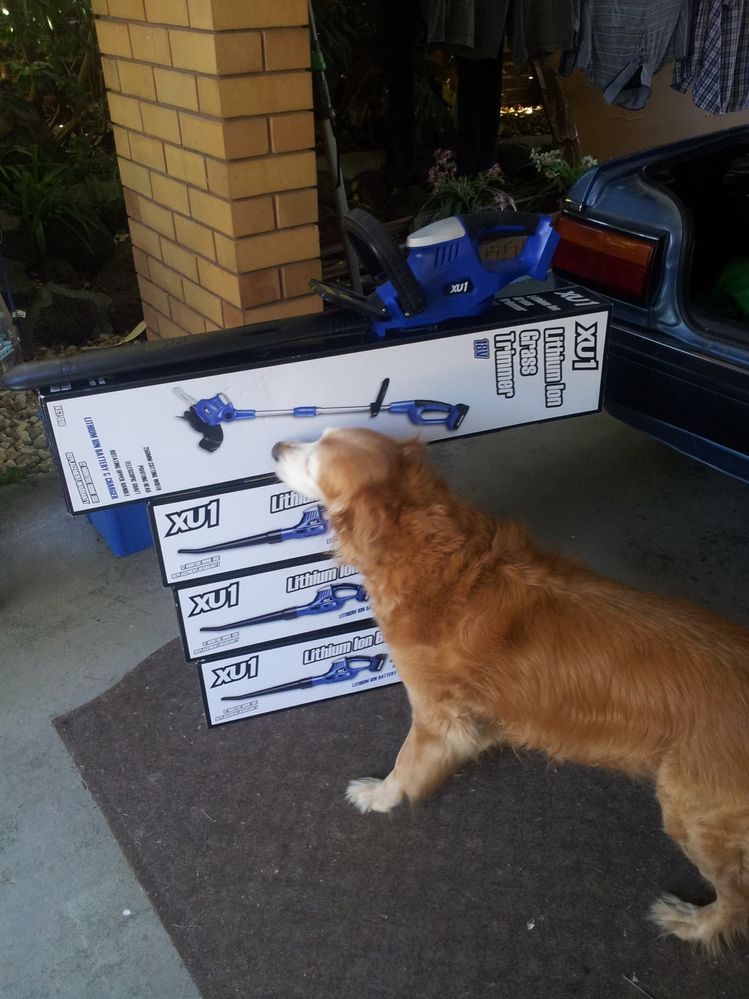 467863595_10235845403498208_6198990962616077251_n (1).jpg