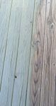 Painteddecking1.jpg