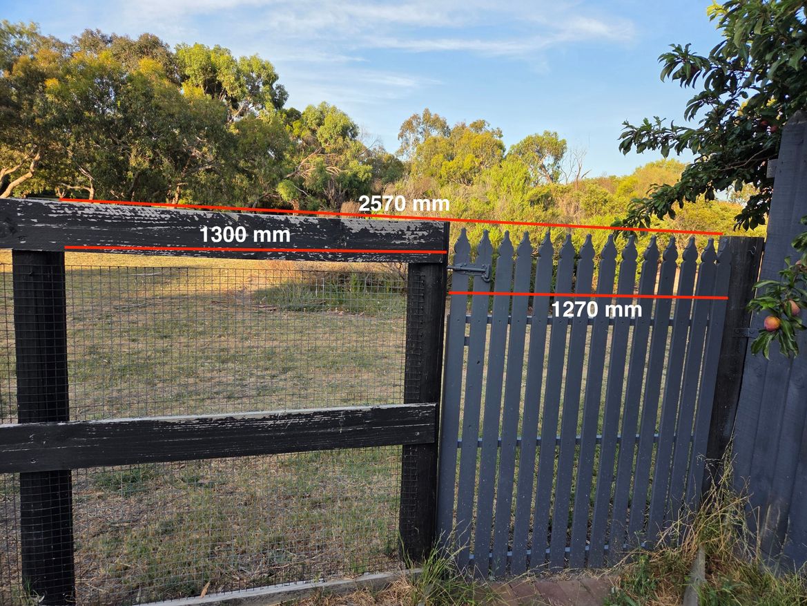 2026-01-18 19.40.51.jpg