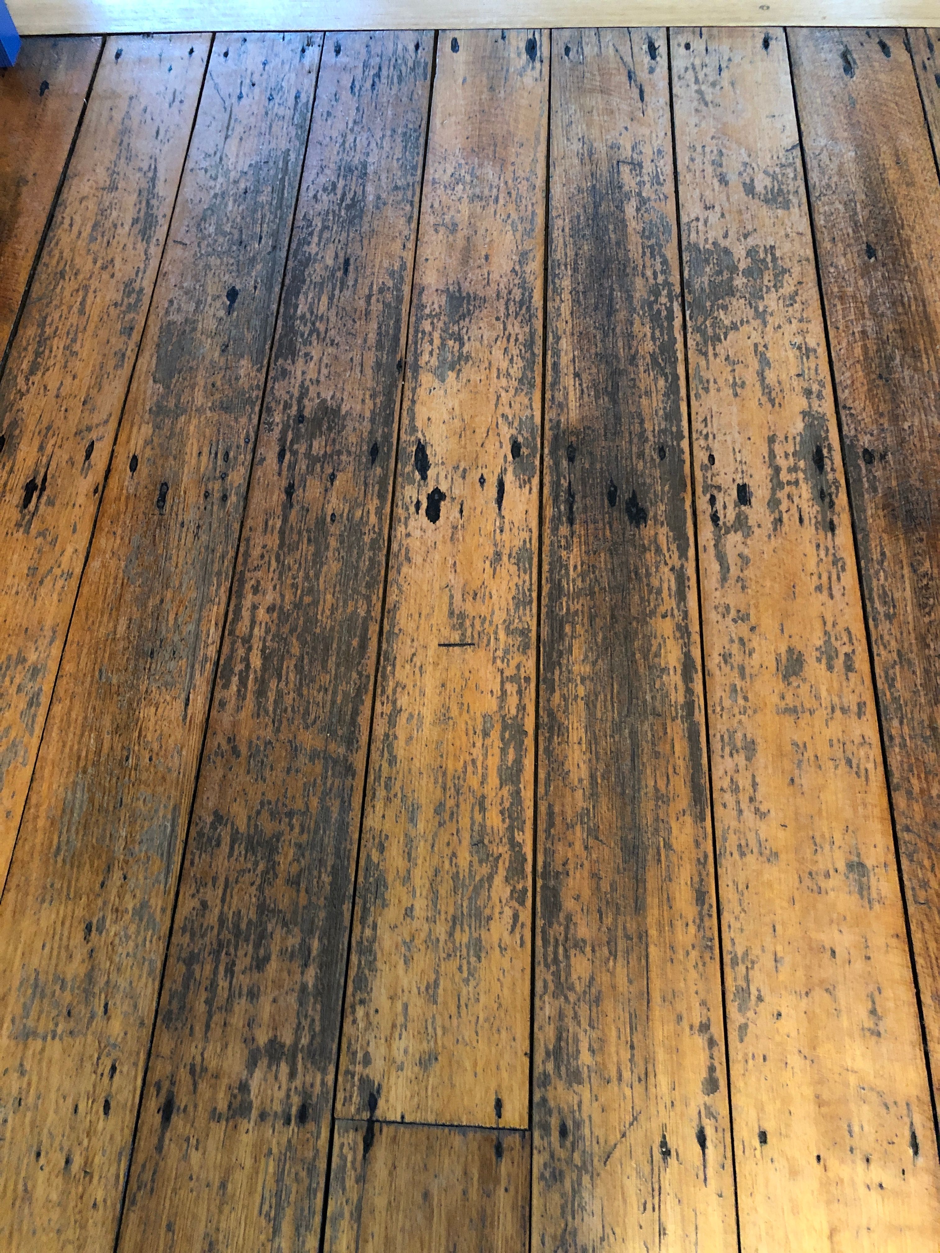 old floor boards refresher | Bunnings Workshop community