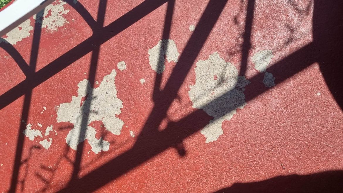 0446ca03-8e73-42c7-89f1-37e1291c6f08.jfif