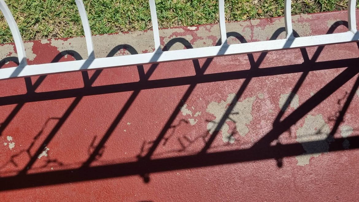 d39bb1bf-0030-47fb-bd9f-90128bd9e806.jfif