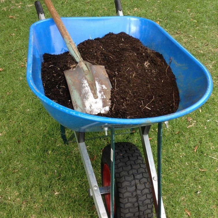 4. Use premium potting mix.jpg