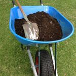 4. Use premium potting mix.jpg