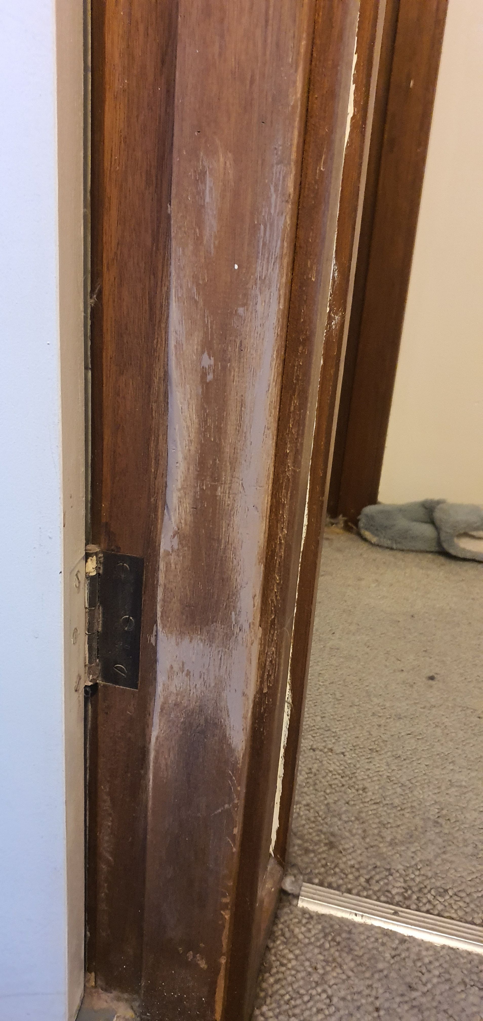 How to match wood filler to timber door Bunnings community