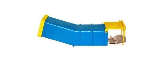 Mouse Trap_1.jpg