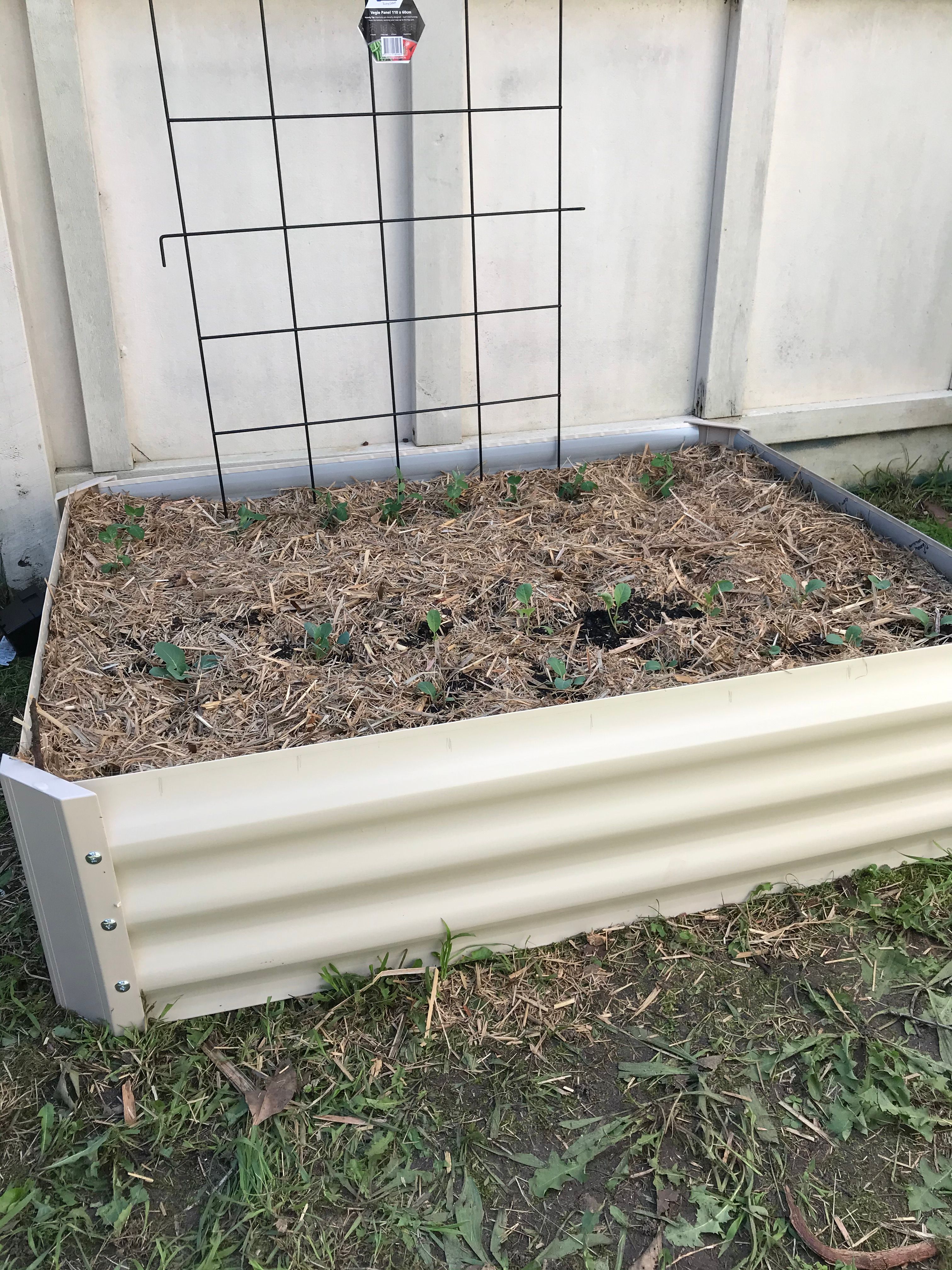 Raised garden beds Bunnings community