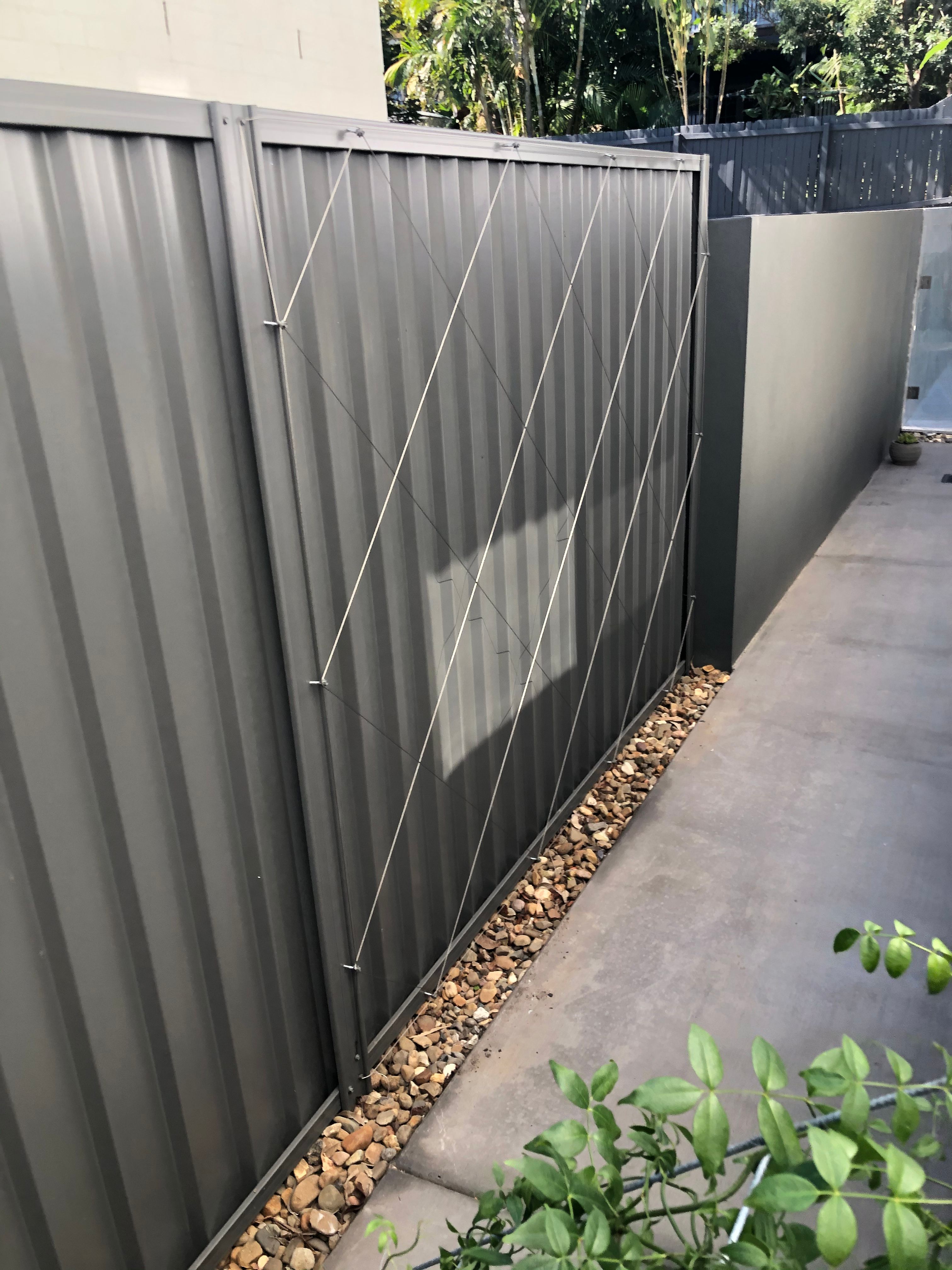 Climbers to dress up Colorbond fence | Bunnings Workshop community