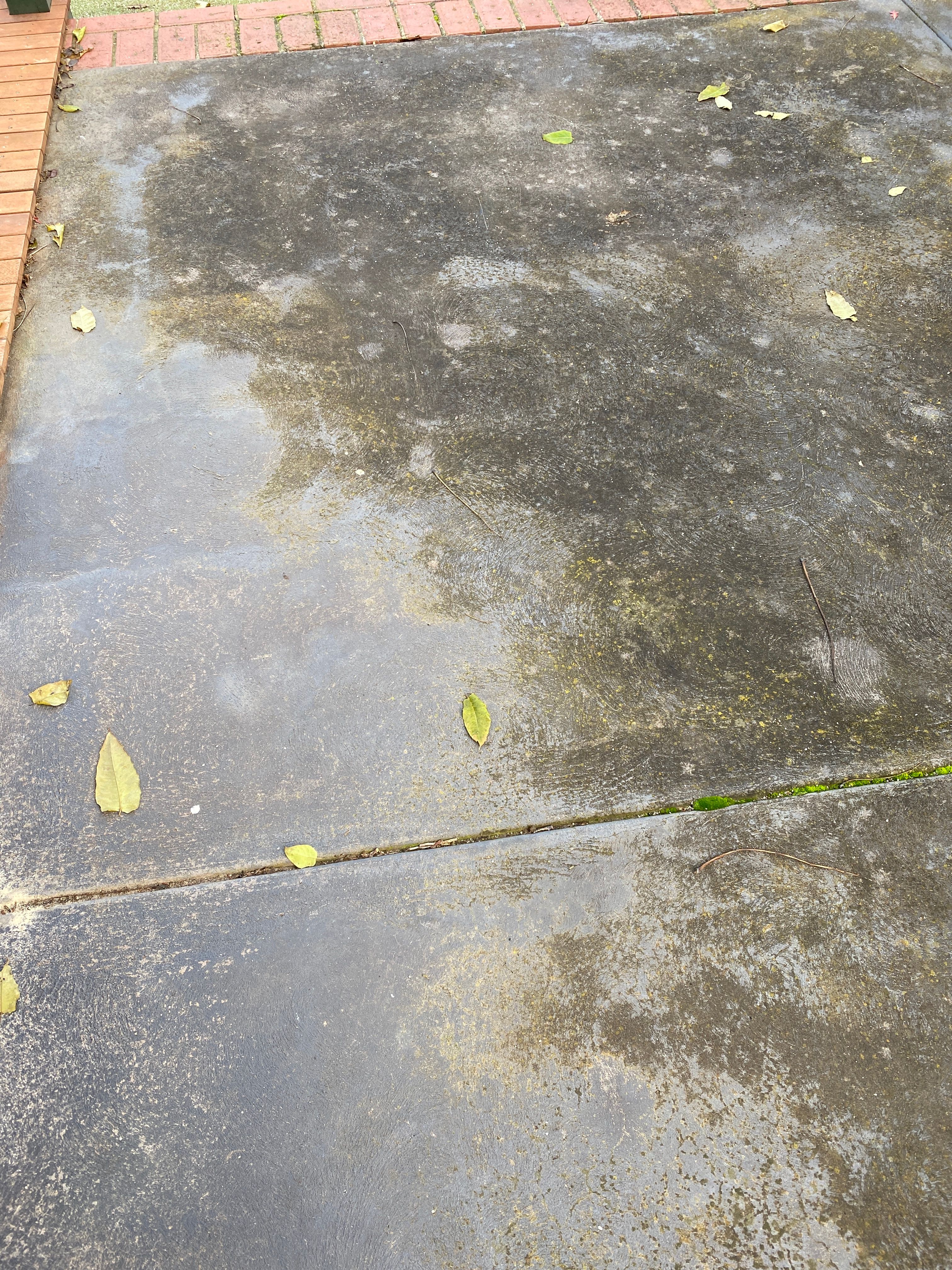 How to clean concrete? | Bunnings Workshop community