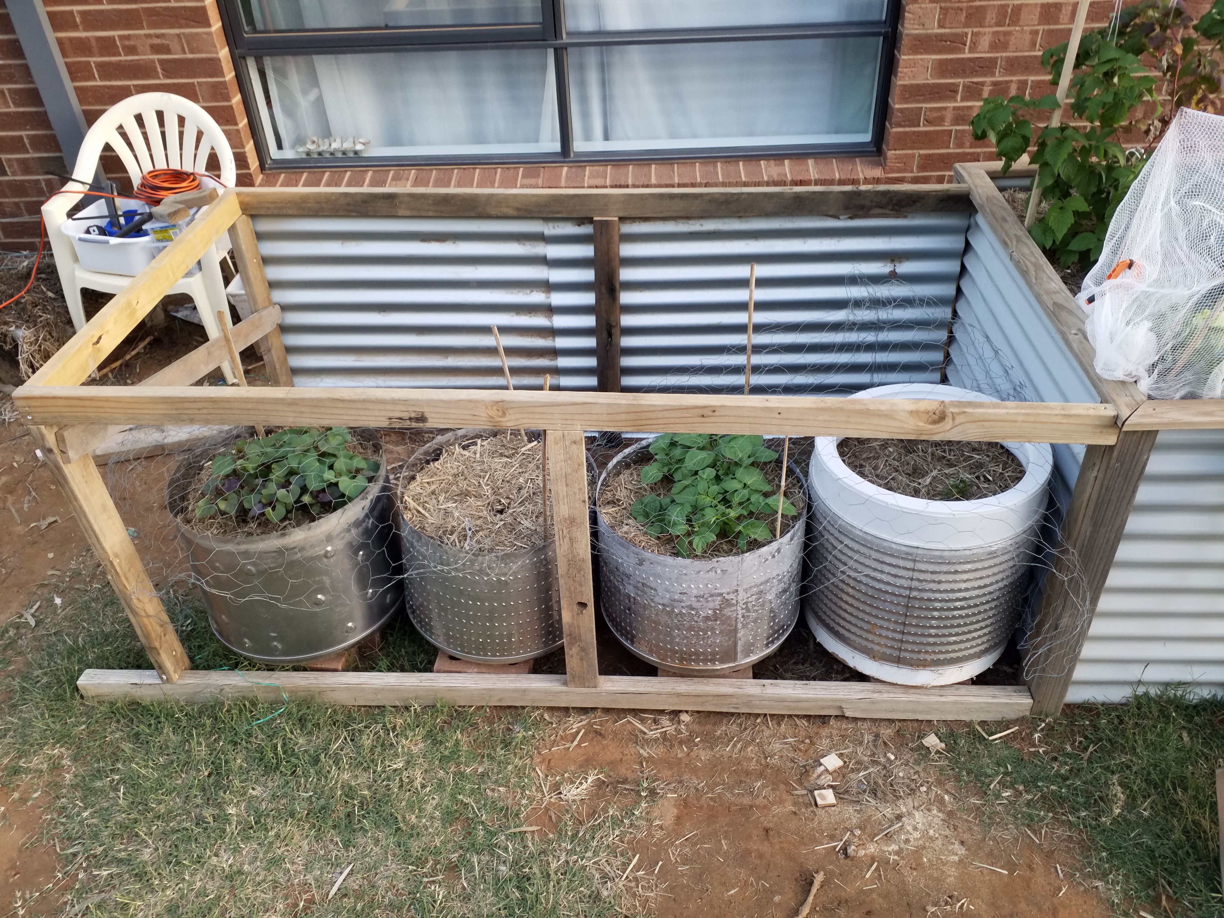 My new hot box, hot house, greenhouse, c... Bunnings community