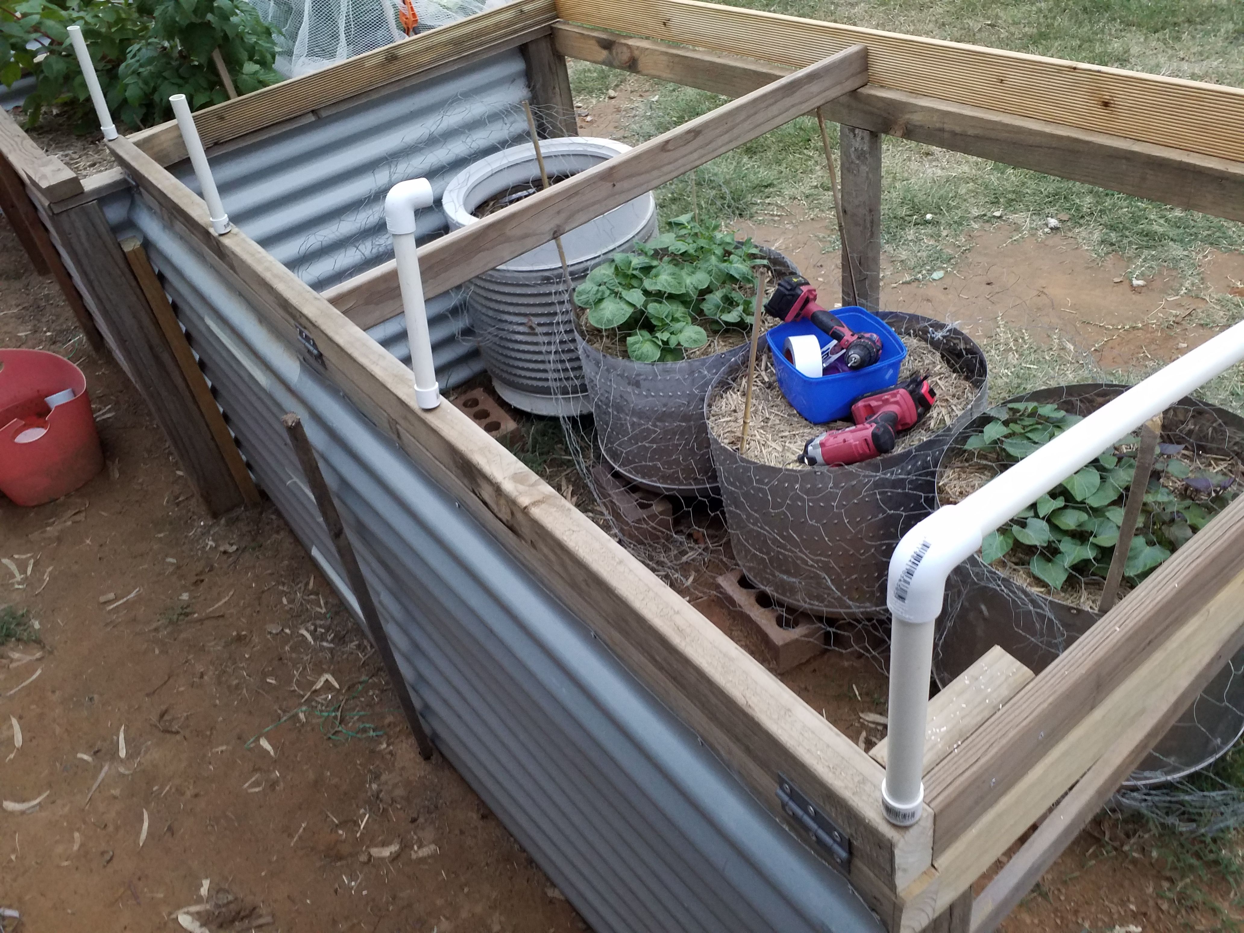 My new hot box, hot house, greenhouse, c... Bunnings community