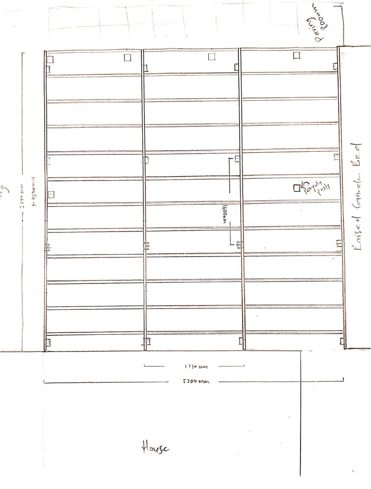 New Doc 2020-04-29 21.05.00_2.jpg