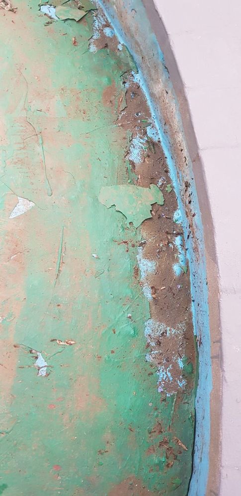 WhatsApp Image 2020-05-19 at 16.33.37.jpeg