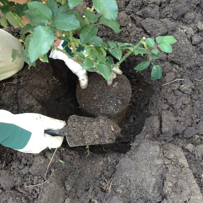 3.2 Check the height.jpg