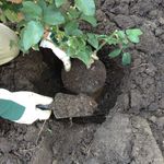 3.2 Check the height.jpg