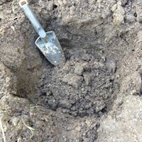 4. Add soil to form a mound.jpg