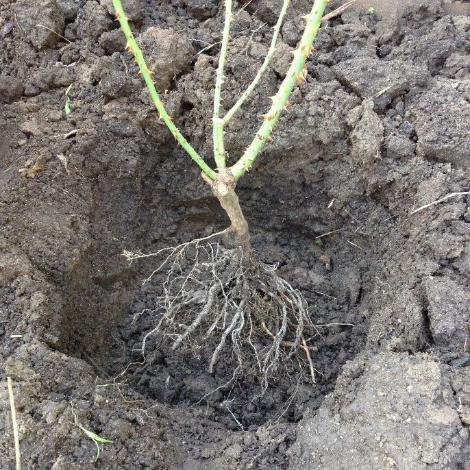 4.2 Check the level.jpg