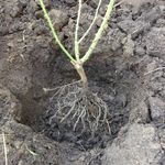 4.2 Check the level.jpg