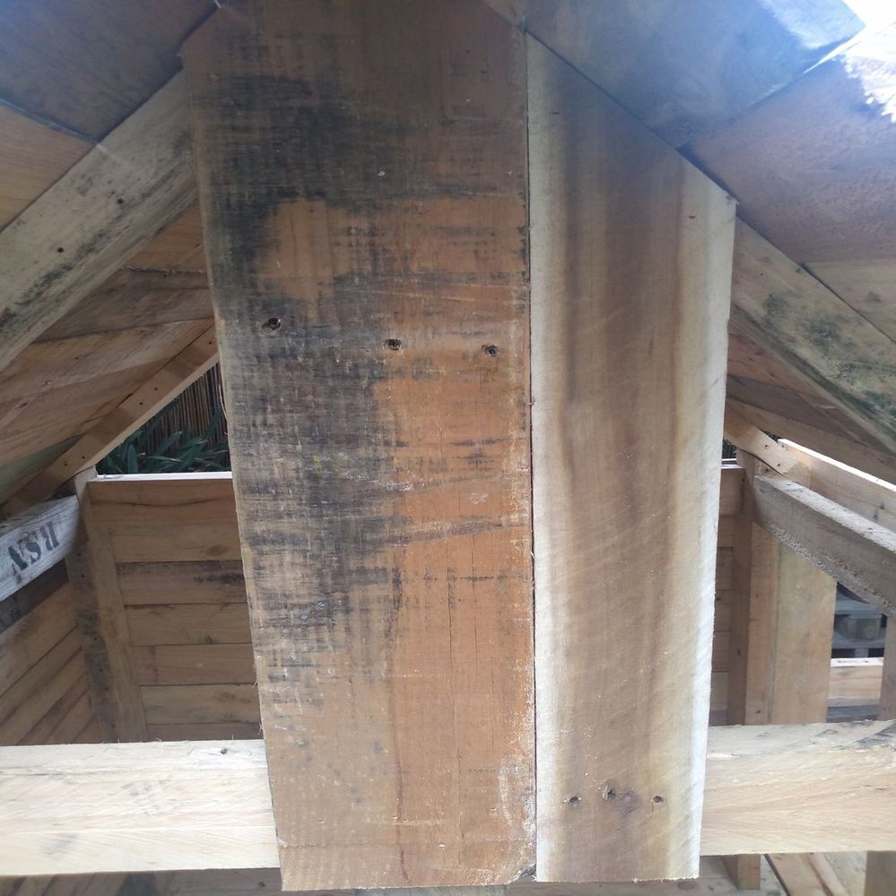 10.3 Start placing board working outwards..jpg