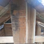 10.3 Start placing board working outwards..jpg