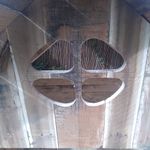 16.2 Feature cut-out..jpg