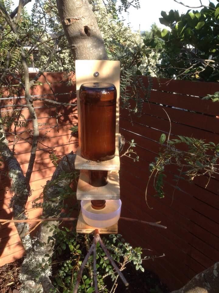 a feeder for our local Tui bird (parson Bunnings community