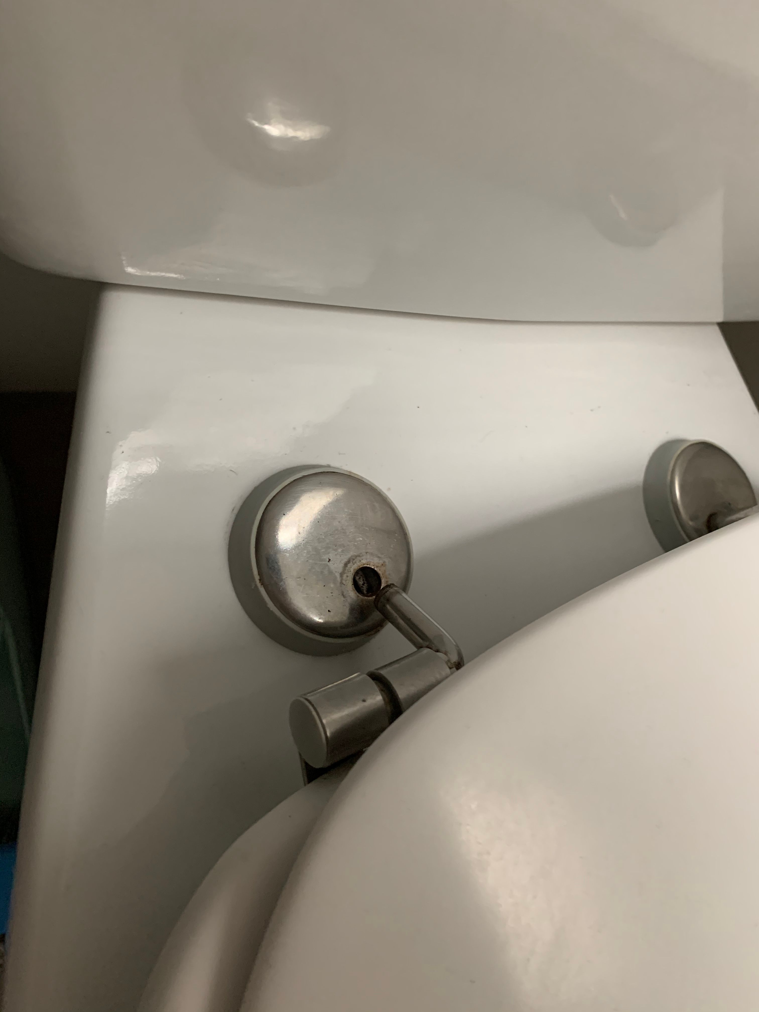 Solved Screw of toilet is broken. Tell me what Bunnings